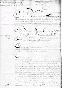 Testament van Pieter Maas Czn en Willemina Suzanna Geesteranus (1798-02-08)